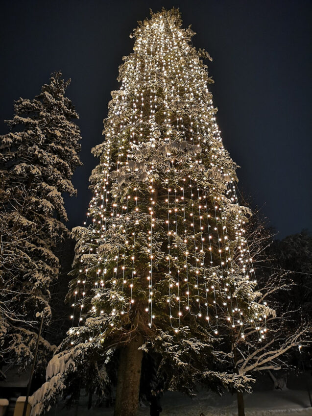 Lake Bled and its Christmas tree in the festive season