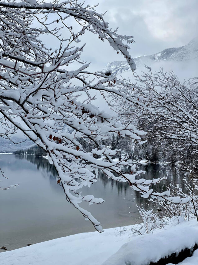 Lake Bohinj in Slovenia covered in snow on a cloudy winter day