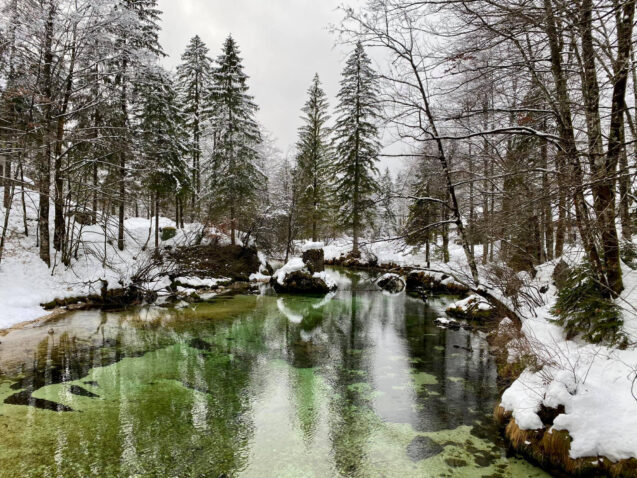 Stream Savica which flows into Lake Bohinj near the village of Ukanc in Slovenia