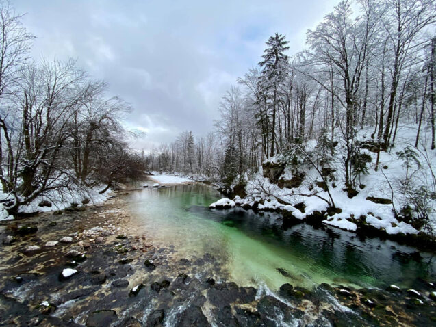 Stream Savica in Bohinj covered in snow on a dull winter day