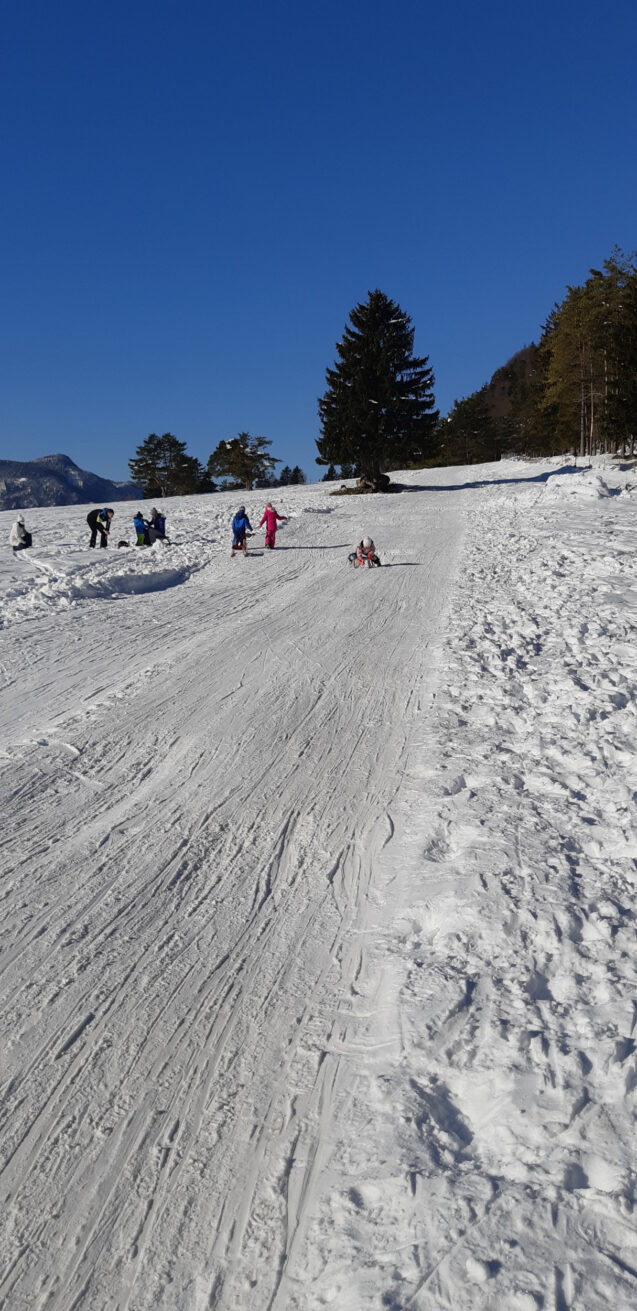 A group of children sledding at a traditional sledding hill in Zavrsnica