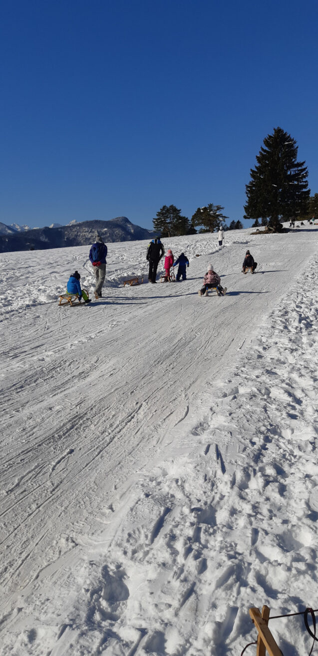 A group of children sledding at a traditional sledding hill in Zavrsnica