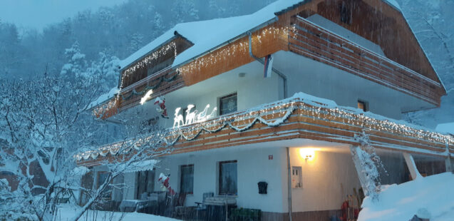Festively decorated Fine Stay Apartments during snowfall in Christmas season