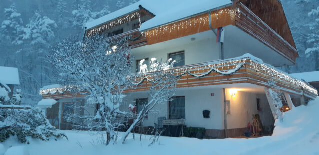 Festively decorated Fine Stay Apartments during snowfall in Christmas season