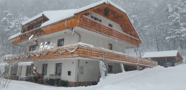 Snowing at Fine Stay Apartments in Slovenia in the winter