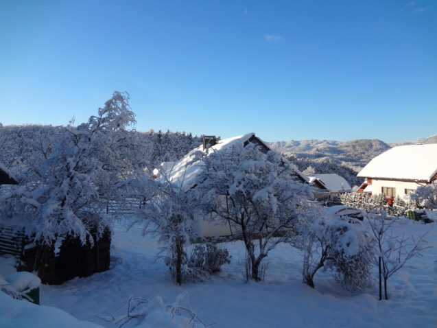 Exterior of accommodation Fine Stay Apartments in Slovenia on a clear day after snowfall