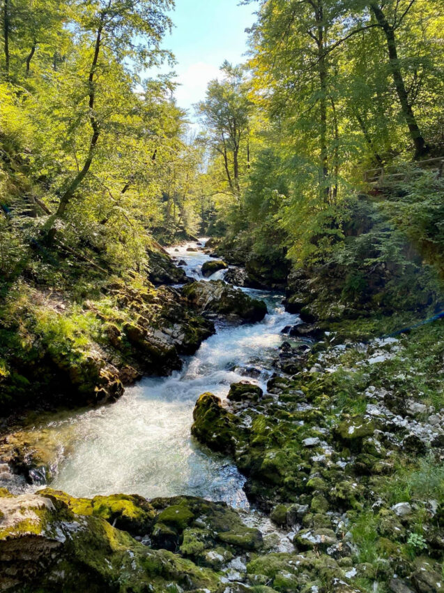 Radovna stream in Vintgar Gorge in the Bled area of Slovenia