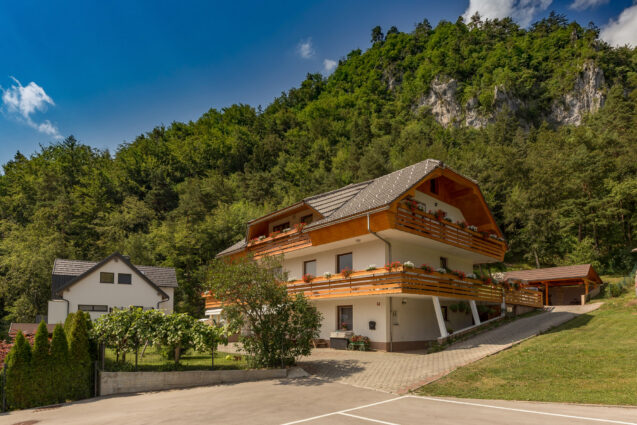 Exterior of our accommodation Apartments Fine Stay in Slovenia in summer